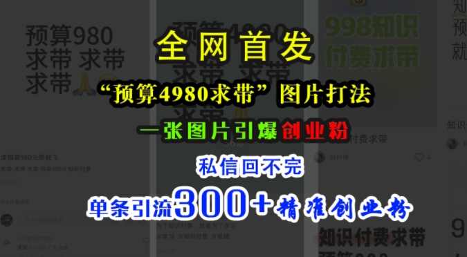 小红书“预算4980带我飞”图片打法，一张图片引爆创业粉，私信回不完，单条引流300+精准创业粉【项目拆解】,课程,微信,第1张