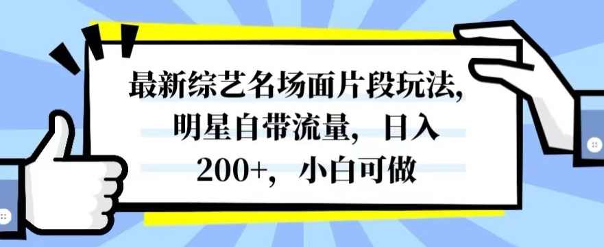 最新综艺名场面片段玩法，明星自带流量，日入200+，小白可做【揭秘】,课程,第1张