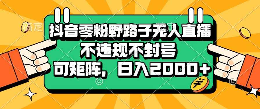抖音零粉野路子无人直播，不违规不封号，可矩阵，日入2000+【项目拆解】,直播,第1张