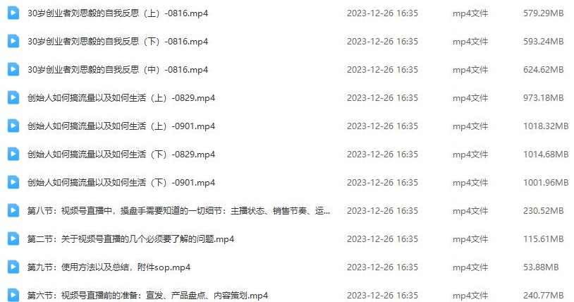 刘老板:视频号直捐操盘课群响视频号直撸落地细节全流程,课程,发展,直播,团队,自我反思,第2张 刘老板:视频号直捐操盘课群响视频号直撸落地细节全流程,课程,发展,直播,团队,自我反思,第2张