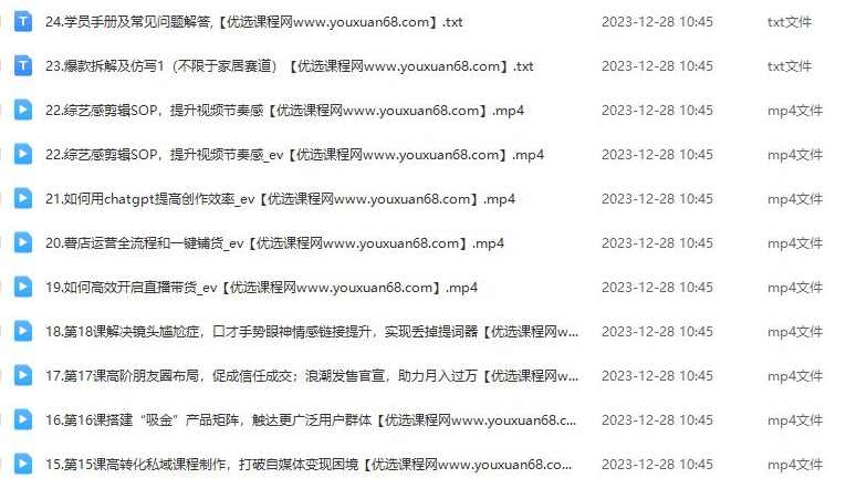 小红书流量私教，全方位教你运营小红书变现,课程,直播,模板,攻略,信任,第2张