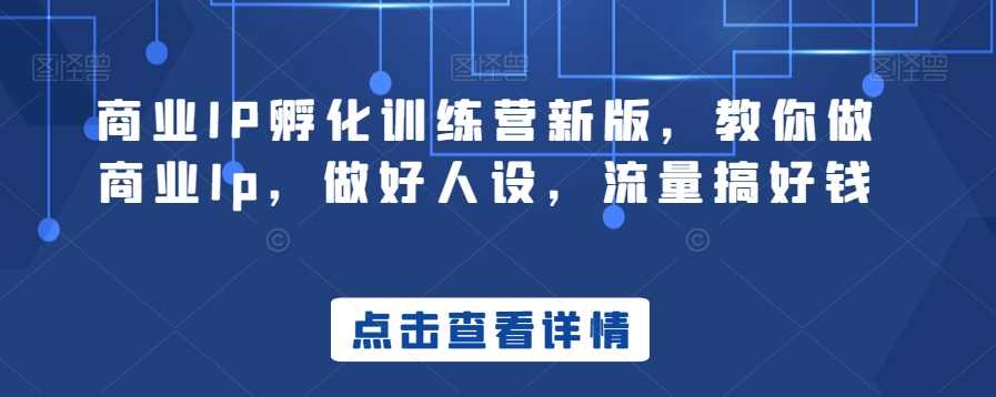 商业IP孵化训练营新版，教你做商业Ip，做好人设，流量搞好钱,课程,直播,定位,竞争,模板,第1张