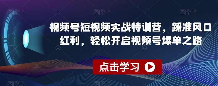 视频号短视频实战特训营,踩准风口红利,轻松开启视频号爆单之路,课程,定位,第1张 视频号短视频实战特训营,踩准风口红利,轻松开启视频号爆单之路,课程,定位,第1张
