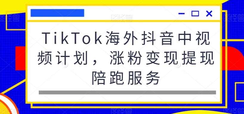 TikTok海外抖音中视频计划，涨粉变现提现陪跑服务,课程,第1张