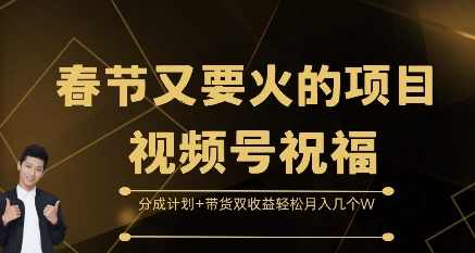 春节又要火的项目视频号祝福，分成计划+带货双收益，轻松月入几个W【揭秘】,理解,放松,第1张