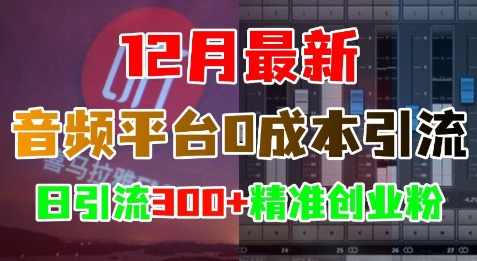 12月最新：音频平台0成本引流，日引流300+精准创业粉,专业,目标,数据分析,第1张