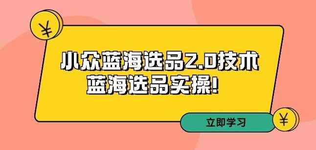 拼多多培训第33期：小众蓝海选品2.0技术-蓝海选品实操！,课程,影视,第1张
