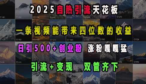 2025自热引流天花板，一条视频能带来四位数的收益，引流+变现双管齐下，日引500+创业粉，涨粉嘎嘎猛