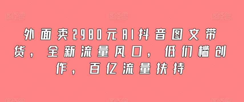 外面卖2980元AI抖音图文带货，全新流量风口，低门槛创作，百亿流量扶持,课程,直播,理解,定位,微信,第1张