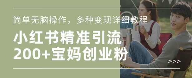 小红书混剪日引200+宝妈创业粉,简单无脑操作,多种变现详细教程【揭秘】,目标,定位,成长,合作,支付,第1张 小红书混剪日引200+宝妈创业粉,简单无脑操作,多种变现详细教程【揭秘】,目标,定位,成长,合作,支付,第1张