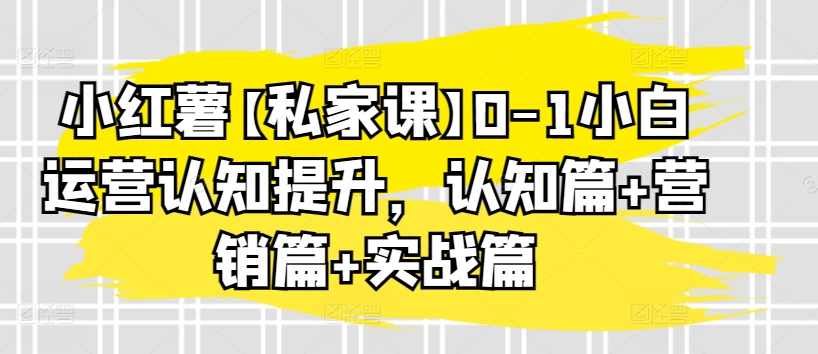 天诺老吴小红薯【私家课】0-1小白运营认知提升，认知篇+营销篇+实战篇,发展,专业,定位,竞争,内容营销,第1张