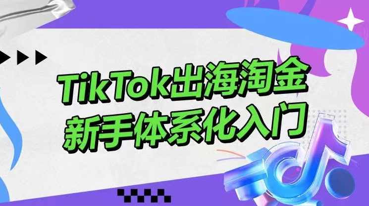 大彬TikTok出海淘金，新手体系化入门，零基础快速入门，掌握短视频、直播带货等引流到变现的知识,课程,学习,直播,理解,定位,第1张