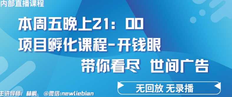林枫4.26日内部直播课程《项目孵化-开钱眼》赚钱的底层逻辑【揭秘】