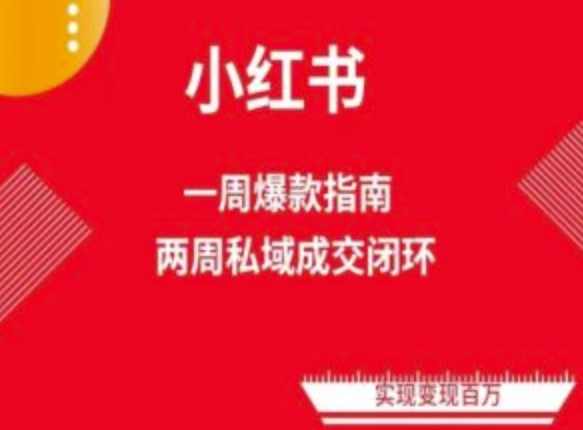 爆款小红书免费流量体系课程(两周变现)，小红书电商教程,课程,定位,模板,电商,第1张