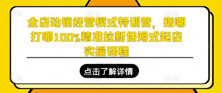 全店动销经营模式特训营，指哪打哪100%精准拉新保姆式起店实操课程,课程,发展,专业,定位,成长,第1张
