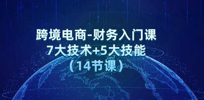 跨境电商-财务入门课：7大技术+5大技能（14节课）,课程,学习,管理,电商,电子商务,第1张