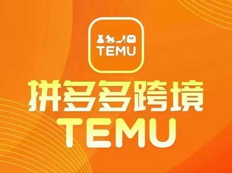 最新TEMU拼多多跨境教程，开店、运营、选品,课程,定位,电子商务,第1张