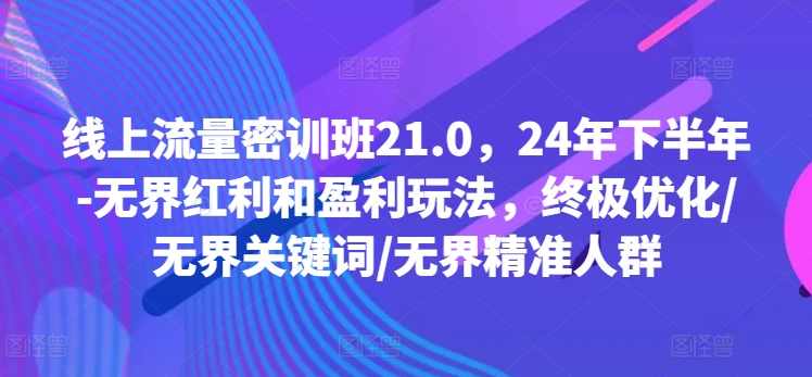 线上流量密训班21.0，24年下半年-无界红利和盈利玩法，终极优化/无界关键词/无界精准人群
