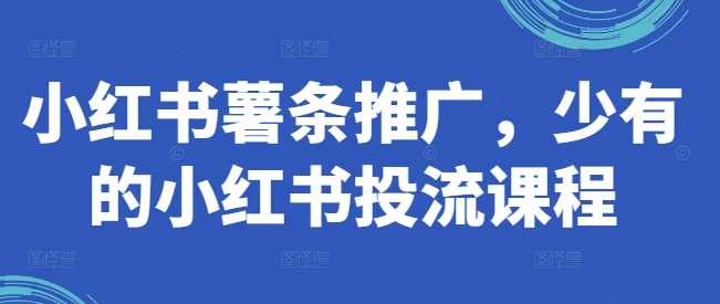 小红书薯条推广,少有的小红书投流课程,课程,目标,数据分析,第1张 小红书薯条推广,少有的小红书投流课程,课程,目标,数据分析,第1张