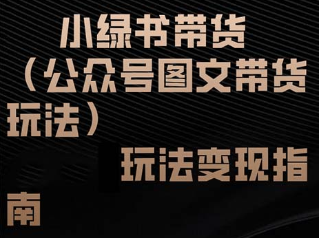 小绿书带货（公众号图文带货玩法）玩法变现指南【项目拆解】,课程,微信,第1张