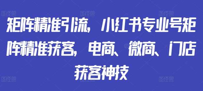 矩阵精准引流，小红书专业号矩阵精准获客，电商、微商、门店获客神技,课程,专业,定位,团队,电商,第1张