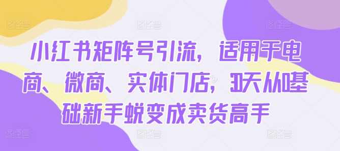 小红书矩阵号引流，适用于电商、微商、实体门店，30天从0基础新手蜕变成卖货高手,课程,专业,定位,团队,电商,第1张