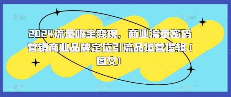 2024流量吸金变现,商业流量密码营销商业品牌定位引流品运营逻辑(图文),定位,第1张 2024流量吸金变现,商业流量密码营销商业品牌定位引流品运营逻辑(图文),定位,第1张