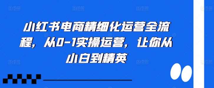 小红书电商精细化运营全流程,从0-1实操运营,让你从小白到精英,课程,专业,电商,第1张 小红书电商精细化运营全流程,从0-1实操运营,让你从小白到精英,课程,专业,电商,第1张