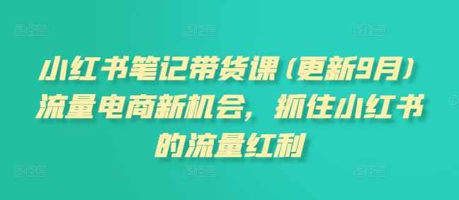 小红书笔记带货课(更新10月)流量电商新机会，抓住小红书的流量红利,课程,学习,管理,直播,专业,第1张
