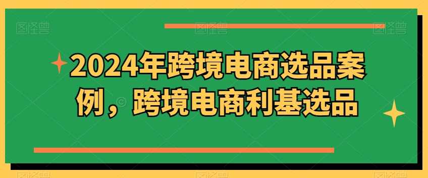 阿甘2024年跨境电商选品案例，跨境电商利基选品（更新11月）