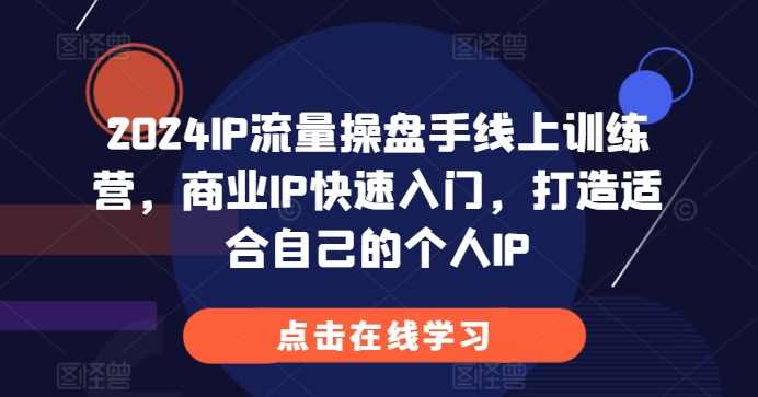 2024IP流量操盘手线上训练营，商业IP快速入门，打造适合自己的个人IP,课程,发展,直播,专业,定位,第1张