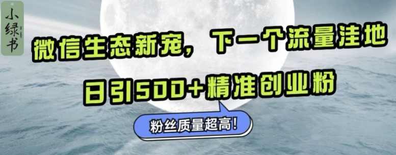 微信生态新宠小绿书：下一个流量洼地，日引500+精准创业粉，粉丝质量超高