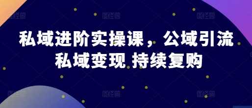 私域进阶实操课，公域引流 私域变现 持续复购-郑鹏飞-飞哥电商