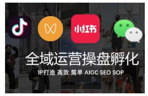 全域运营操盘(抖音+私域+小红书),IP打造高效简单,课程,学习,SEO,第1张 全域运营操盘(抖音+私域+小红书),IP打造高效简单,课程,学习,SEO,第1张