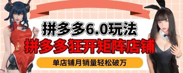 拼多多虚拟商品暴利6.0玩法，轻松实现月入过W,管理,支持,第1张