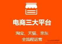 高级电商运营,覆盖京东、天猫、淘宝,14天培训完整版课程,课程,定位,电商,电子商务,客户服务,第1张 高级电商运营,覆盖京东、天猫、淘宝,14天培训完整版课程,课程,定位,电商,电子商务,客户服务,第1张