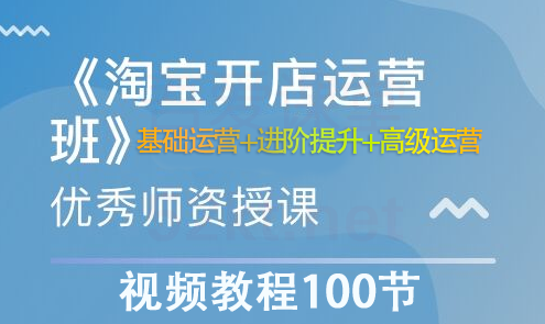 淘宝开店营运视频教程100节从基础运营+进阶提升+高级运营,课程,管理,专业,目标,竞争,第1张
