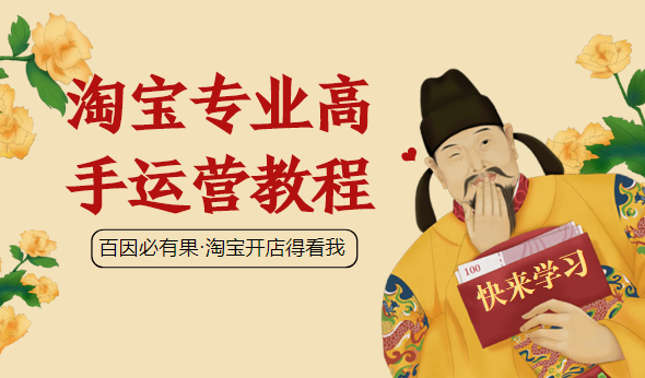 暴疯团队VIP赚钱项目课程：淘宝专业高手运营教程,课程,专业,团队,数据分析,客户服务,第2张