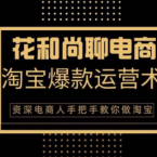 花和尚·电商淘宝爆款运营术,手把手教你月销万件的爆款打造技巧,电商,第1张 花和尚·电商淘宝爆款运营术,手把手教你月销万件的爆款打造技巧,电商,第1张