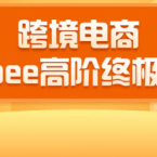 2020跨境电商蓝海新机会-SHOPEE大卖特训营：高阶终极课程（16节课）