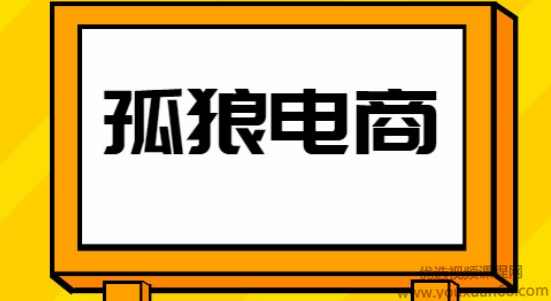 孤狼电商店群VIP教程：孤狼店群2021-禅中说电商,课程,竞争,电商,电子商务,第1张
