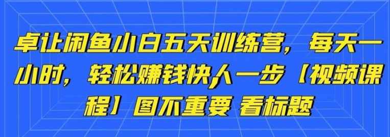卓让闲鱼小白五天训练营，每天一小时，轻松赚钱快人一步【视频课程】,课程,专业,竞争,第1张