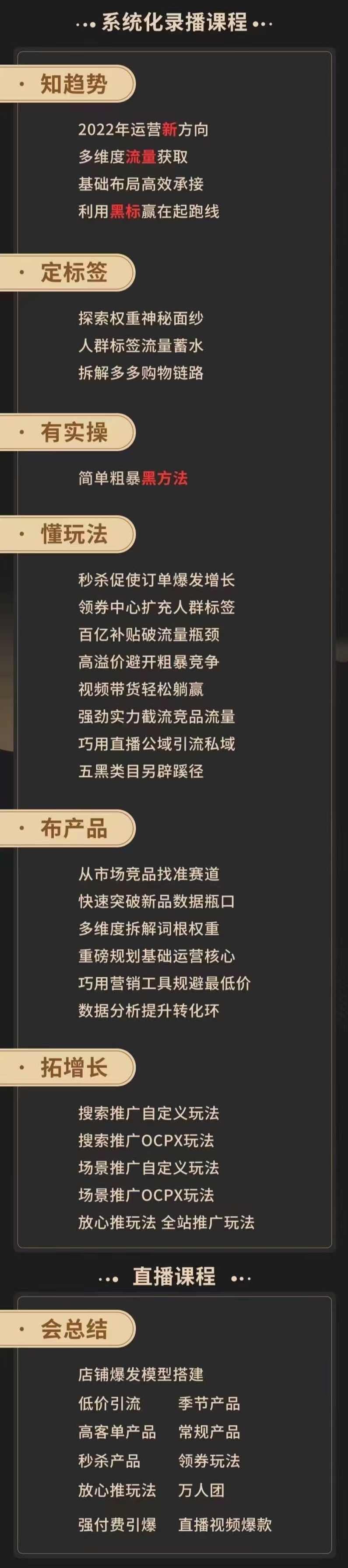 2022全新线上超级爆款《老陶拼多多运营系列课程》,课程,第3张