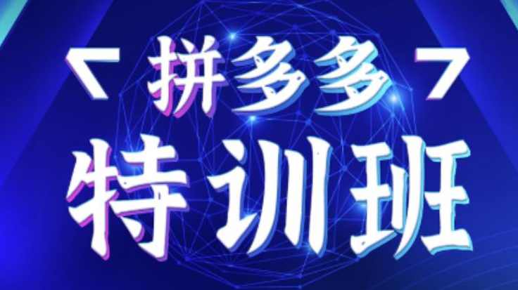 星雪教育·拼多多基础班+进阶班+突破班，用系统的学习模式快速改变现状价值3580元,课程,学习,直播,专业,教育,第1张