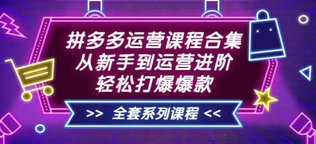 拼多多运营课程合集：从新手到运营进阶，轻松打爆爆款（全套系统课程）,课程,学习,直播,专业,目标,第1张