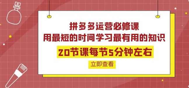 拼多多运营必修课：20节课每节5分钟左右，用最短的时间学习最有用的知识,课程,学习,第1张
