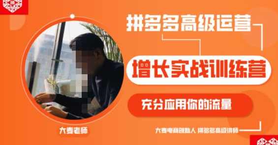 拼多多高级运营增长实战训练营，充分应用你的流量（拼多多2980元付费课程）,课程,直播,竞争,电商,收藏,第1张