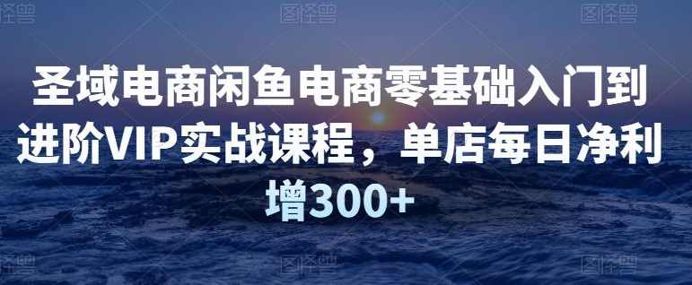 【圣域电商】闲鱼电商零基础入门到进阶VIP实战课程