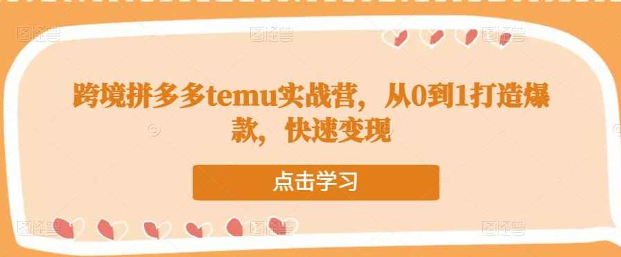 跨境拼多多temu实战营，从0到1打造爆款，快速变现