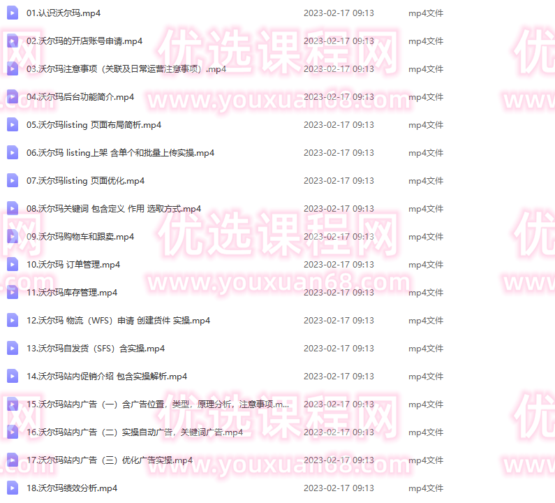 跨境电商沃尔玛平台-从0基础到入门，沃尔玛的红利，跨境新玩法,电商,支持,第2张